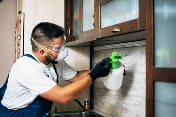 Best Pest Removal Services  in Somers, WI