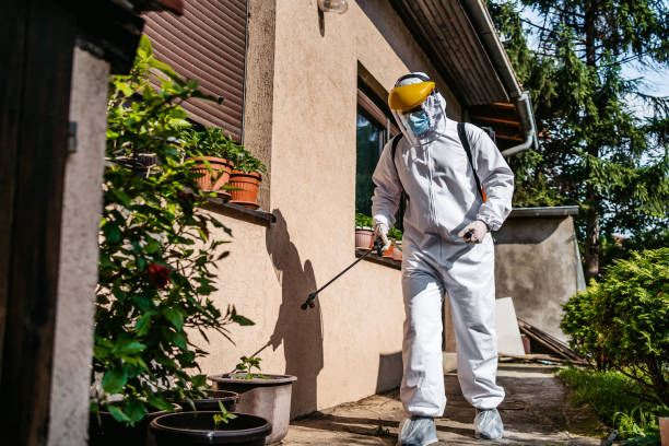 Best Pest Inspection Near Me  in Somers, WI