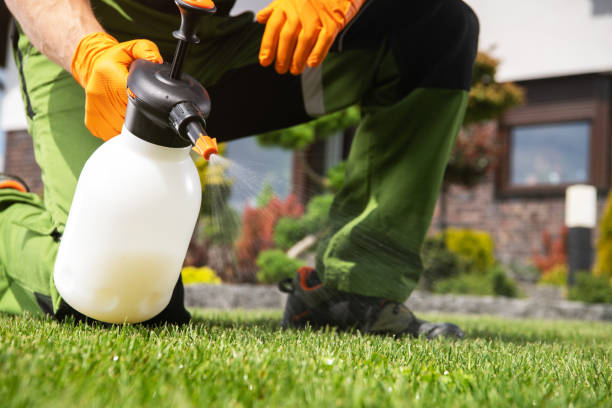Trusted Somers, WI Pest Control Experts