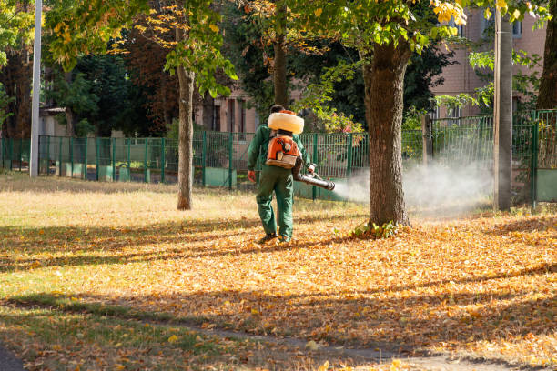 Best Affordable Pest Control Services  in Somers, WI